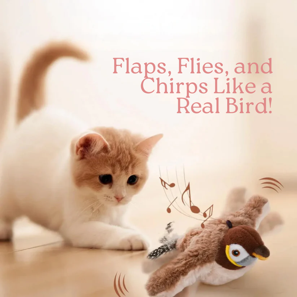 PurrPlay™ — Interactive Motion-Activated Cat Toy